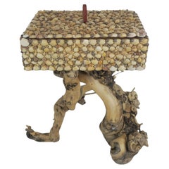 Boîte décorative incrustée de coquillages, posée sur un socle en bois flotté, avec couvercle amovible
