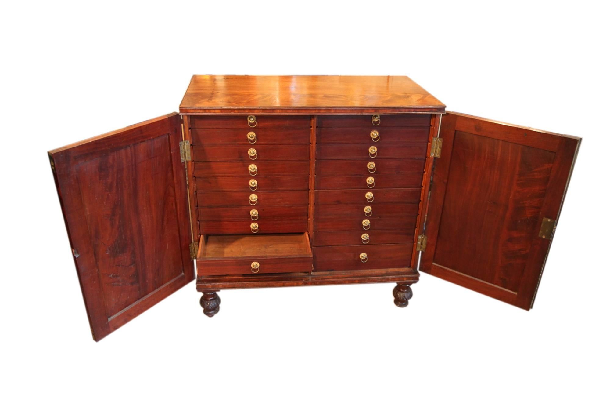 Late 19th Century mahogany collectors or specimen chest, circa 1880. The rectangular moulded top above twin cupboard doors, opening to reveal a series of ring pull drawers, raised on acanthus carved turned feet.