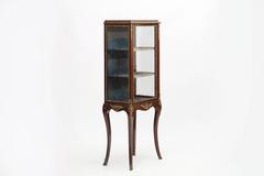 19th Century Regency Mahogany Vitrine Cabinet