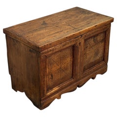 19th-Century Decorated and Panelled Fir Wood Chest