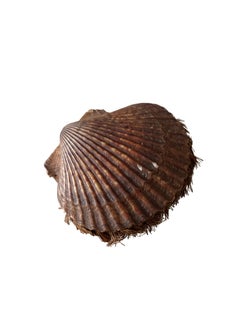 Raro alfiletero antiguo victoriano de concha natural y bordado en seda, de alrededor de la década de 1890