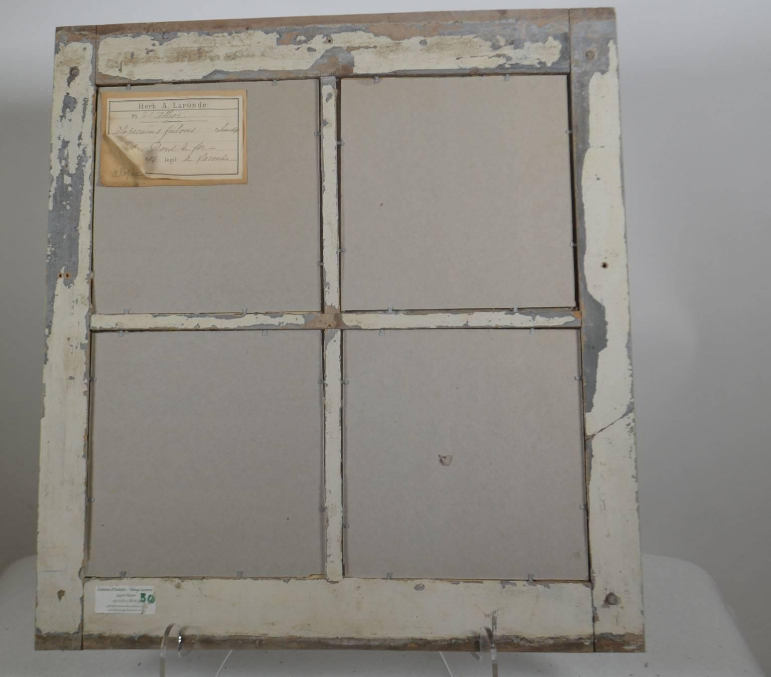 antique window frames for sale