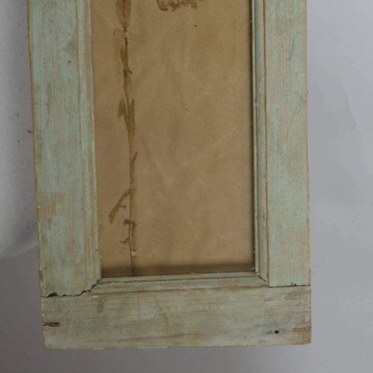 Herbiers Framed in Antique Window Frames For Sale at 1stdibs