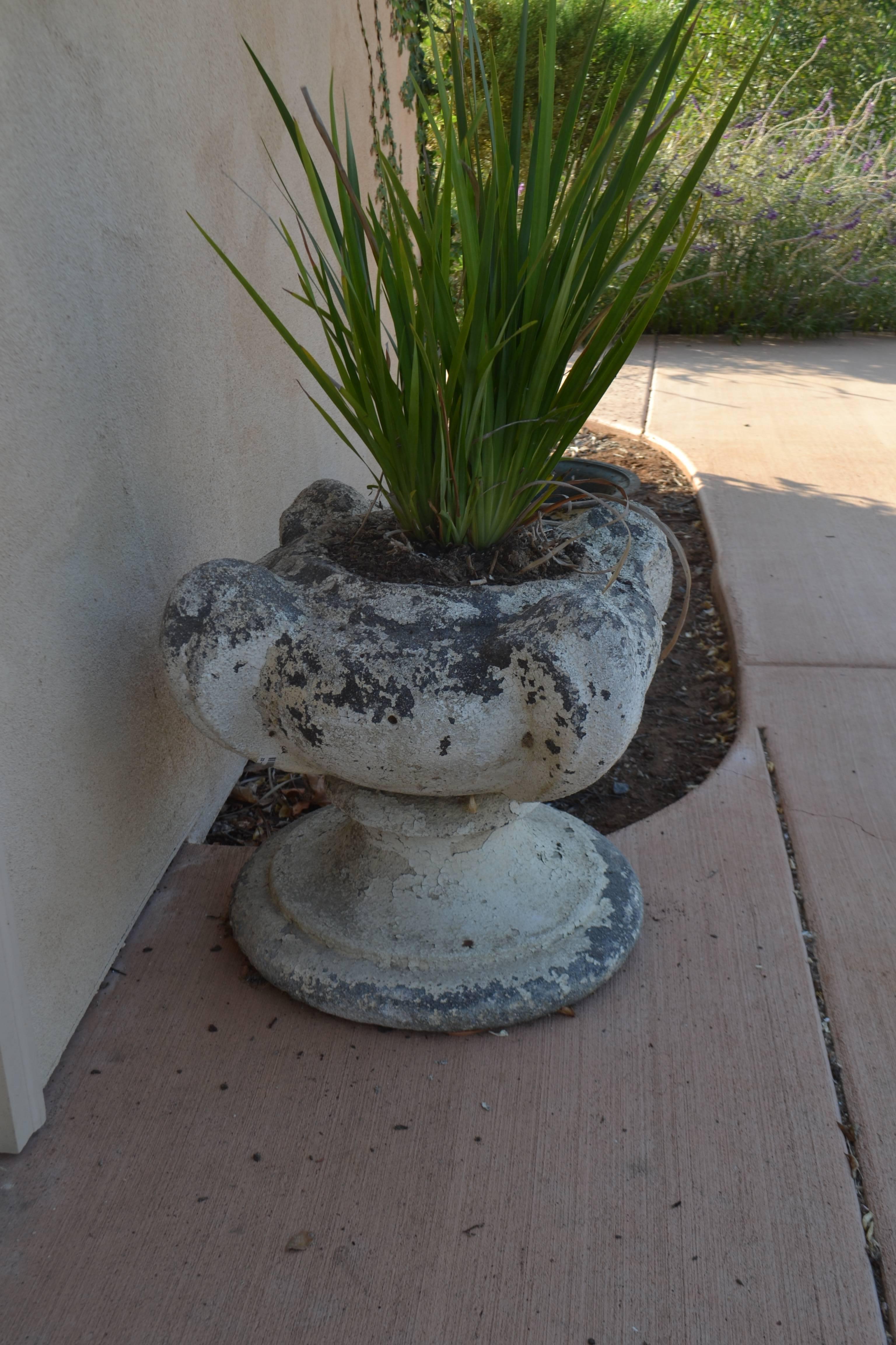 19th Century pair of French stone Grande Jardinie`res with complimentary plant.