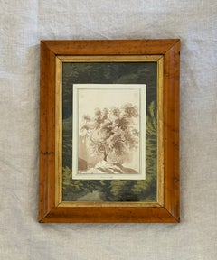 1834: Sepia-Aquarell von Nizza, Frankreich, antikes gerahmtes Kunstwerk, 9 x 12