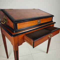 Exceptional 18th Century Indonesian Amboyna & Ebony Portable Writing Desk