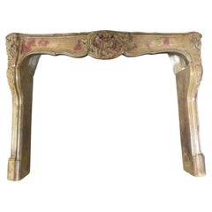 French Antique Fireplace Louis XV Style Mantel Handcarved 1800s Burgundy France