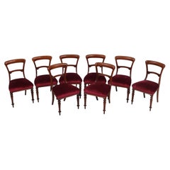 English William IV Set of 8 Mahogany Dining Chairs