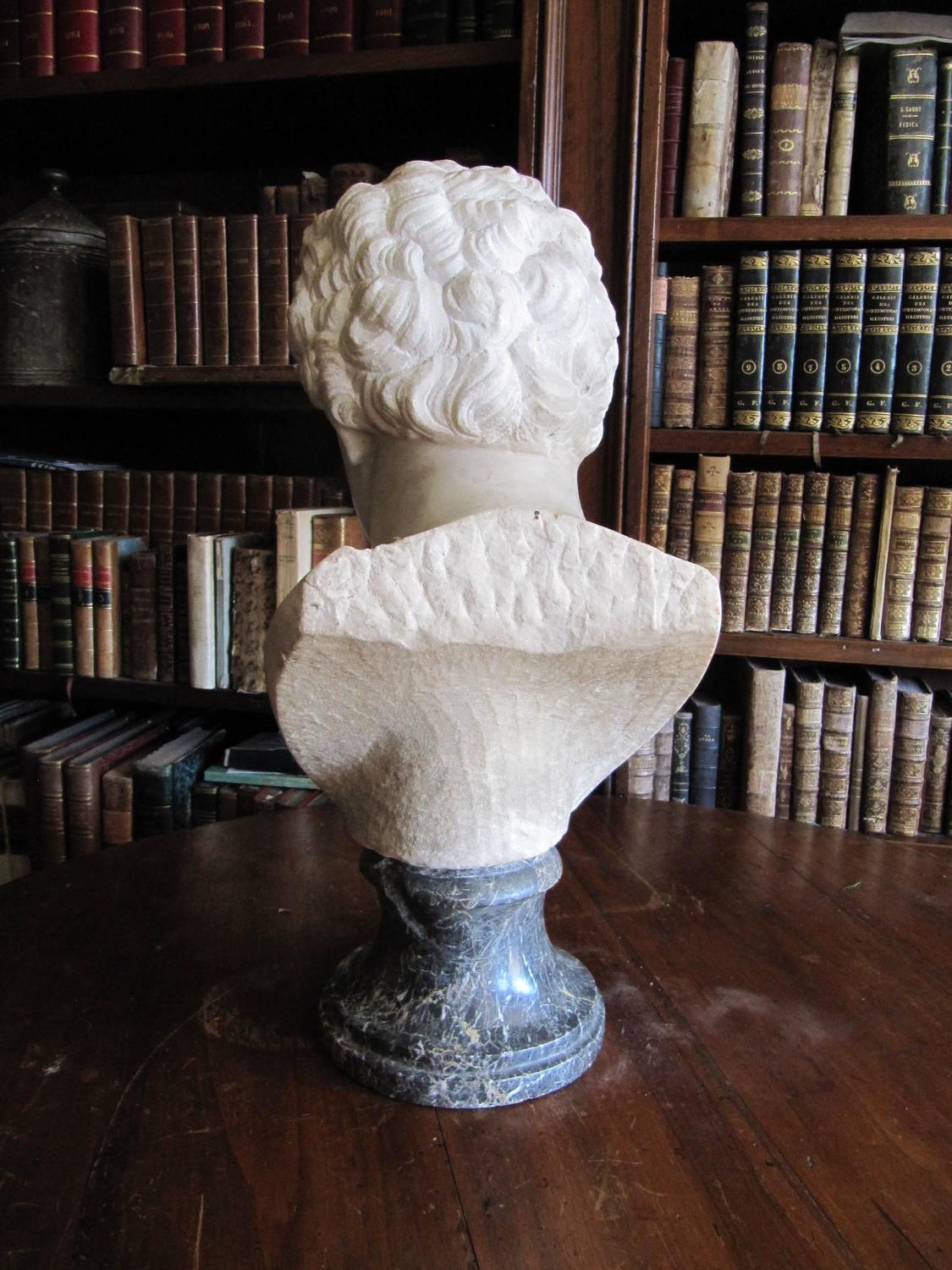 Antique Carrara's Marble Male Bust For Sale at 1stdibs
