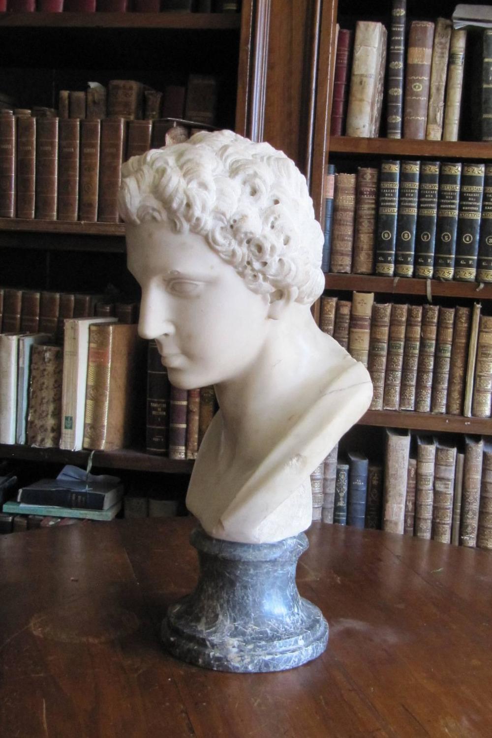 Antique Carrara's Marble Male Bust For Sale at 1stdibs