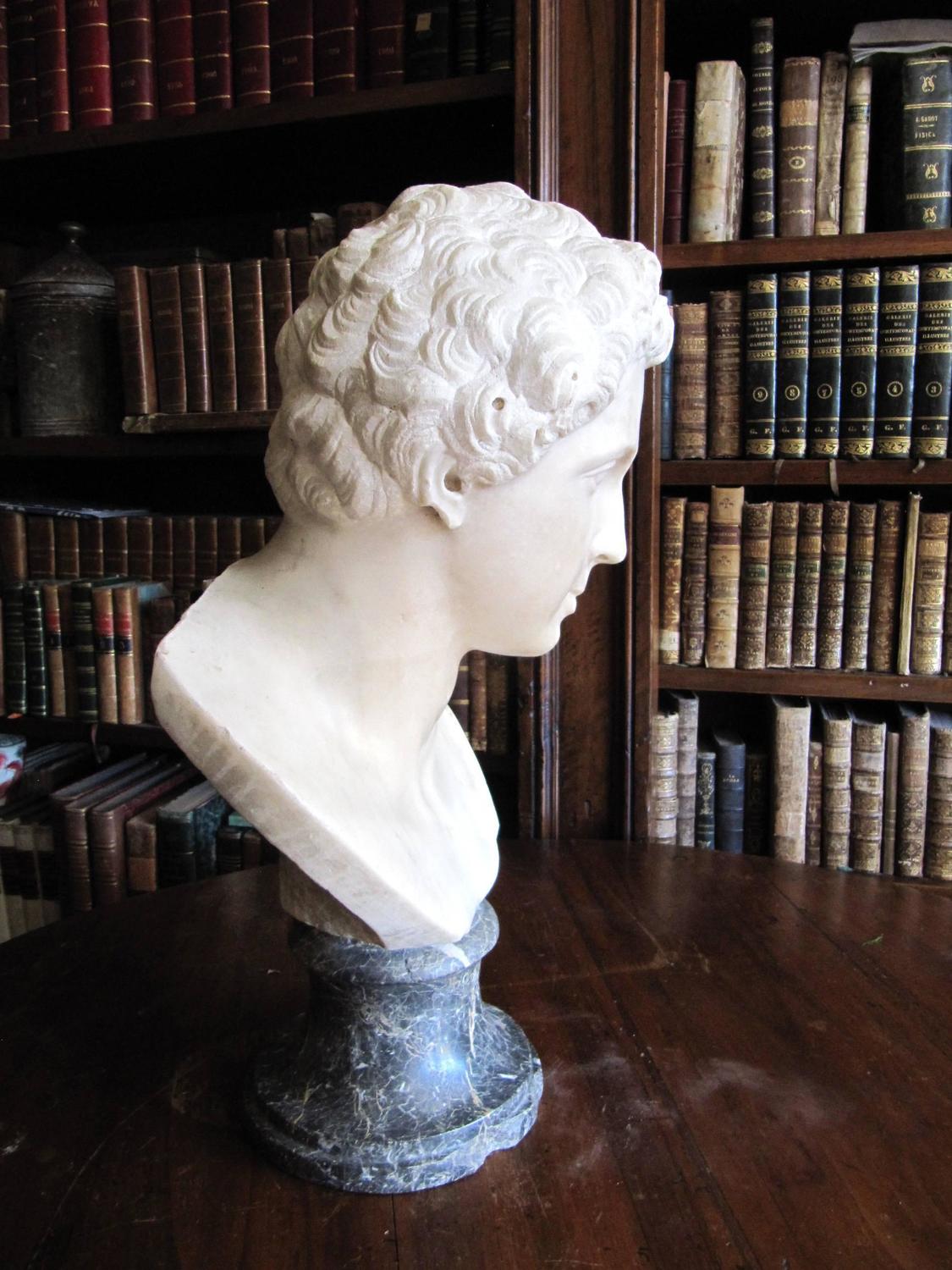 Antique Carrara's Marble Male Bust For Sale at 1stdibs