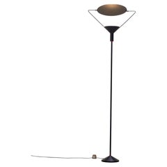 Mid-Century Modern Dominici Disc Floor Lamp, 1960s