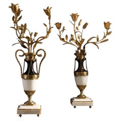 Paris, fin de l'époque Louis XVI - importante paire de candélabres floraux en br