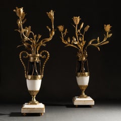 Paris, fin de l'époque Louis XVI - importante paire de candélabres floraux en br