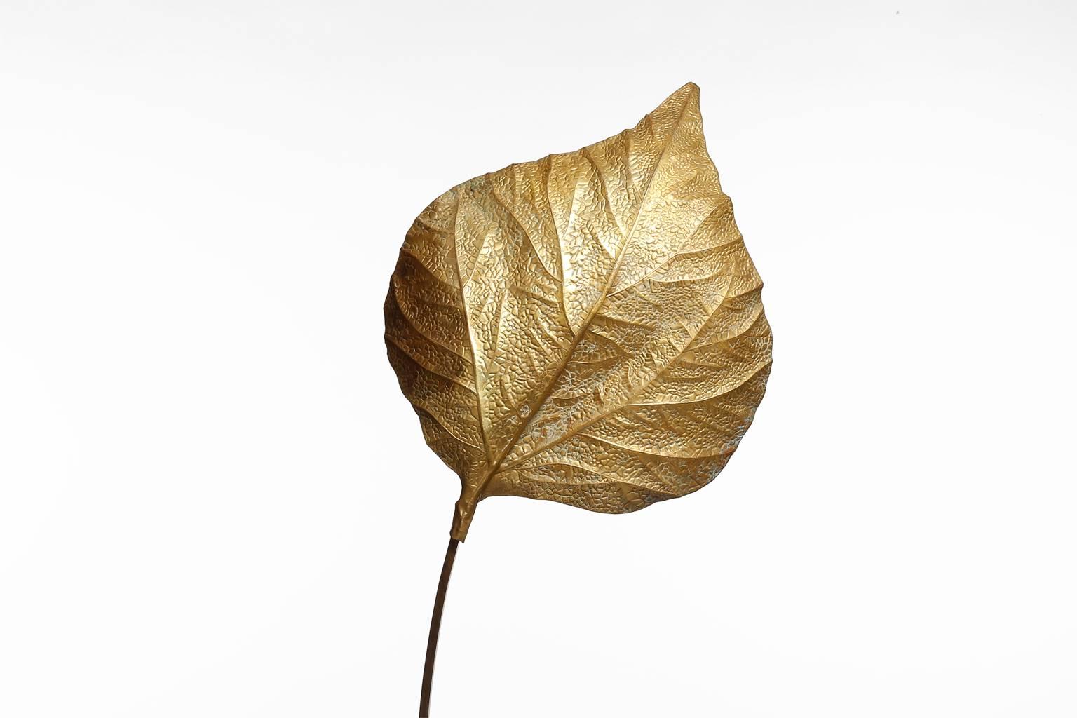 Mid-Century Modern Huge Brass Leaf Floorlamp by Tommaso Barbi 