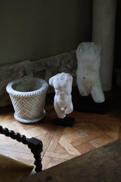 Sculptural Male Torso Fragment in Marble