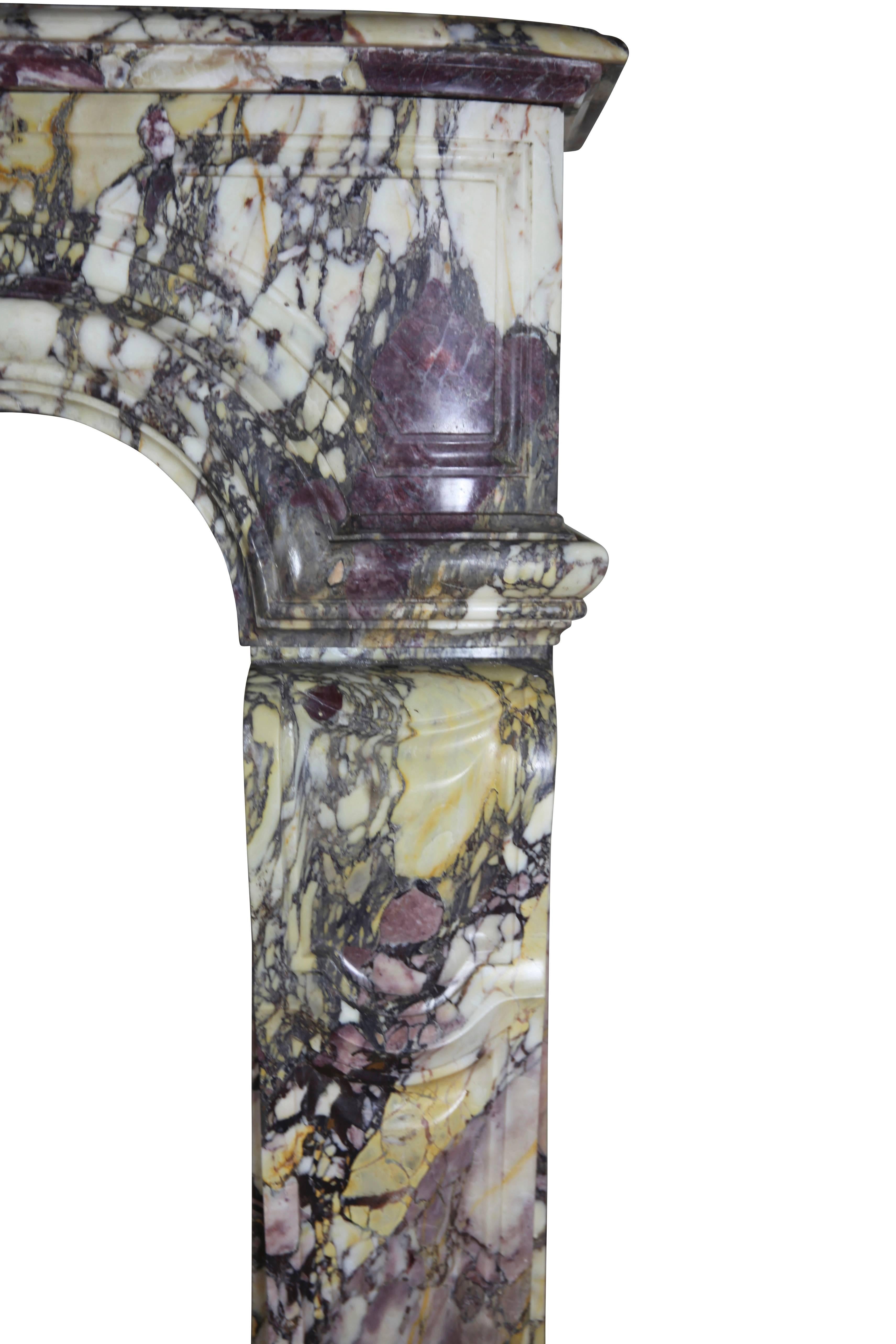 Cheminée parisienne du 19e siècle en marbre violet de Brèche pour Luxury Living en vente 6