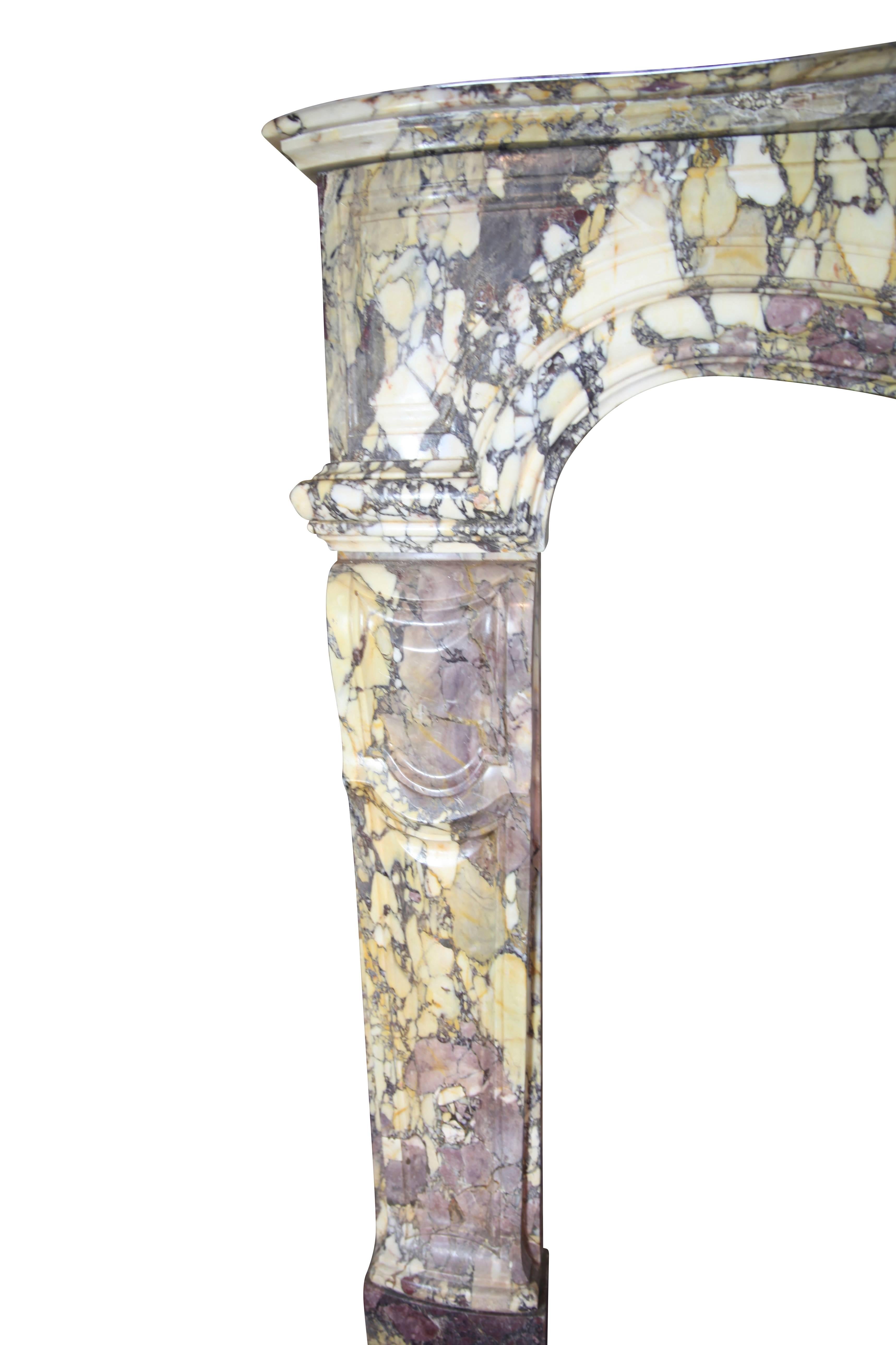 Cheminée parisienne du 19e siècle en marbre violet de Brèche pour Luxury Living en vente 5