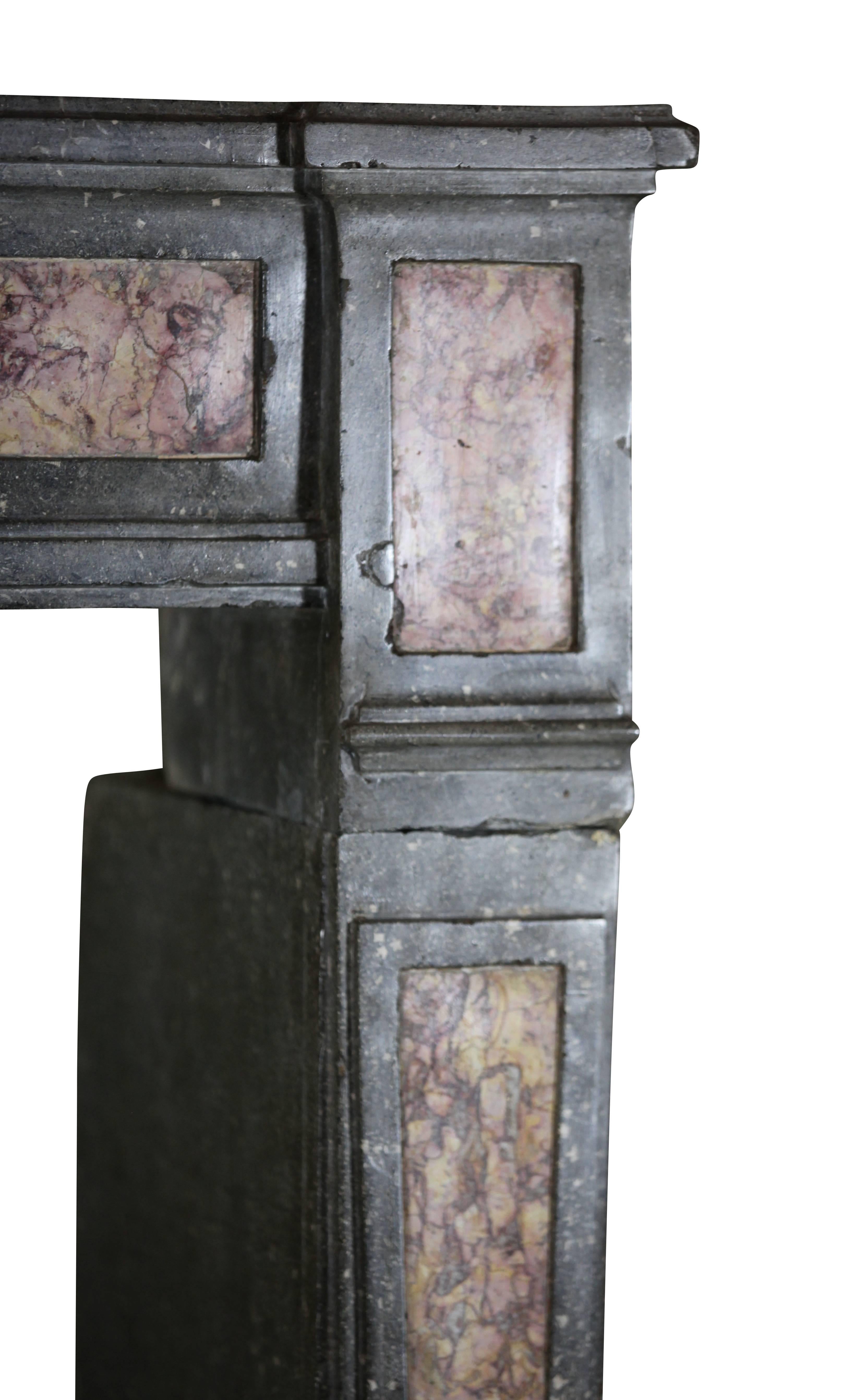 Revestimiento Bicolor Antiguo Para Chimenea De Piedra Y Mármol Con Delfín De Italia en venta 4