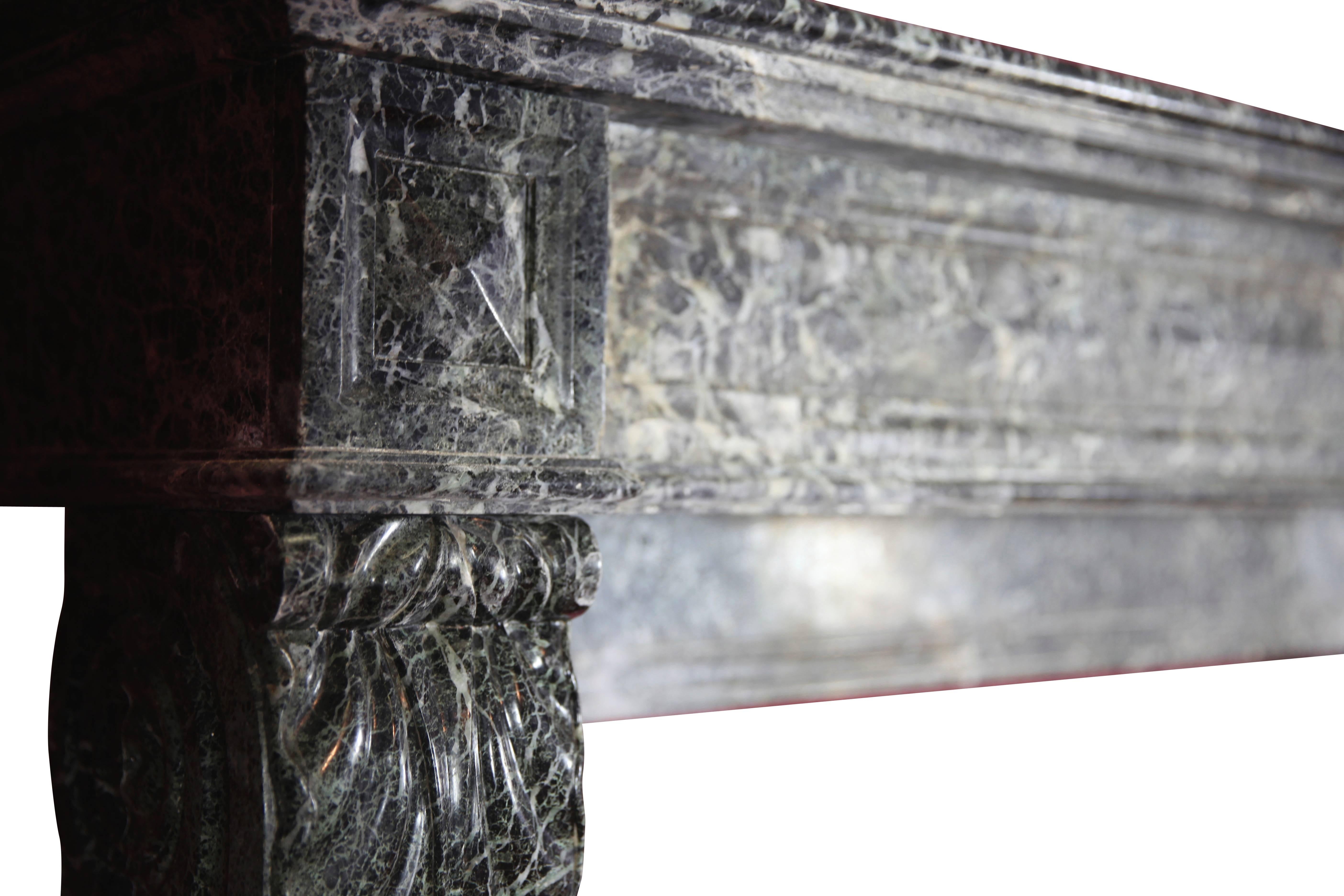 Carved 19th Century Belgian Antique Fireplace Surround For Sale