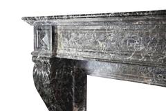 19th Century Belgian Antique Fireplace Surround