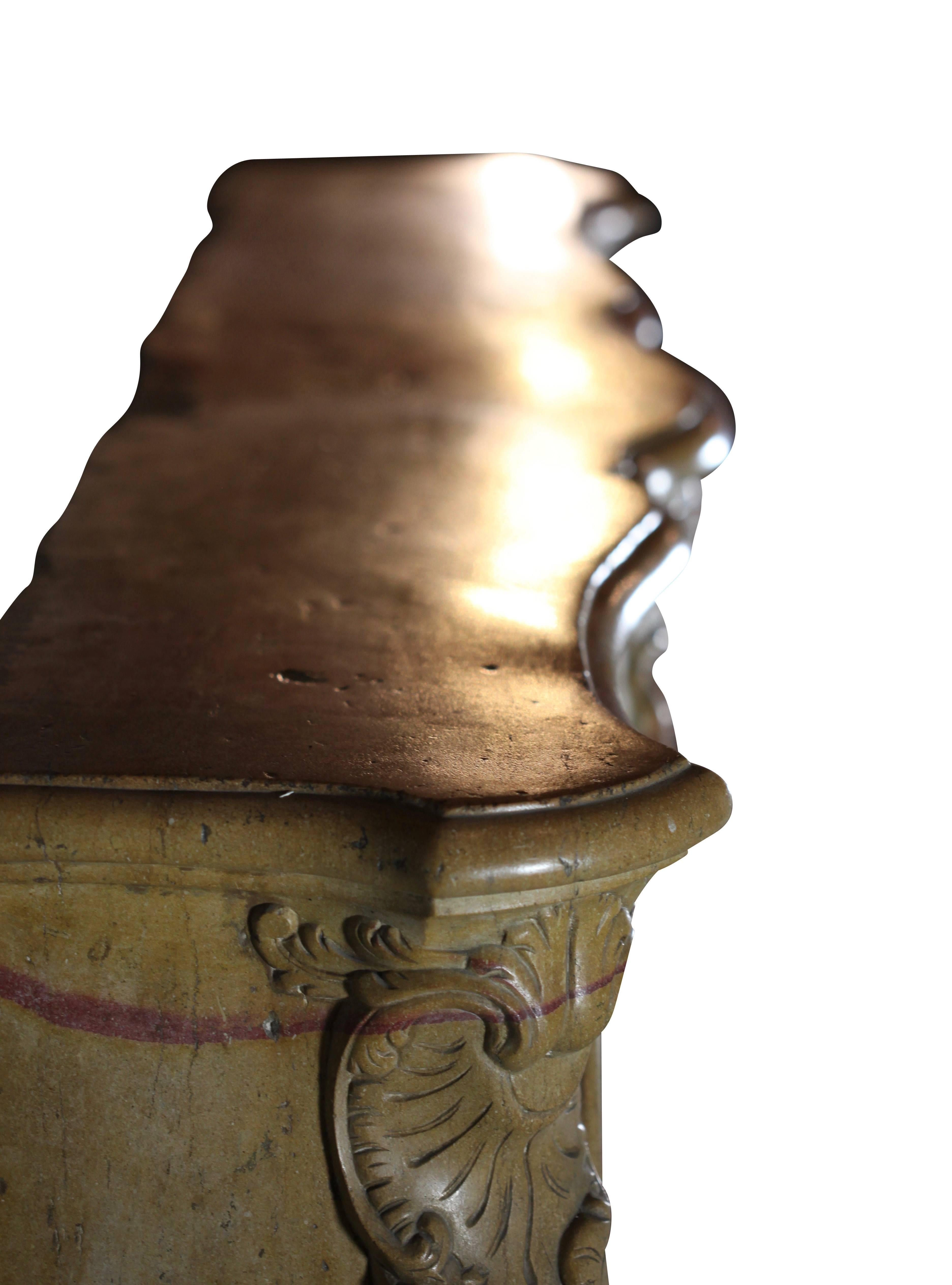 Cheminée ancienne du 18ème siècle en pierre dure bicolore de Bourgogne en vente 2