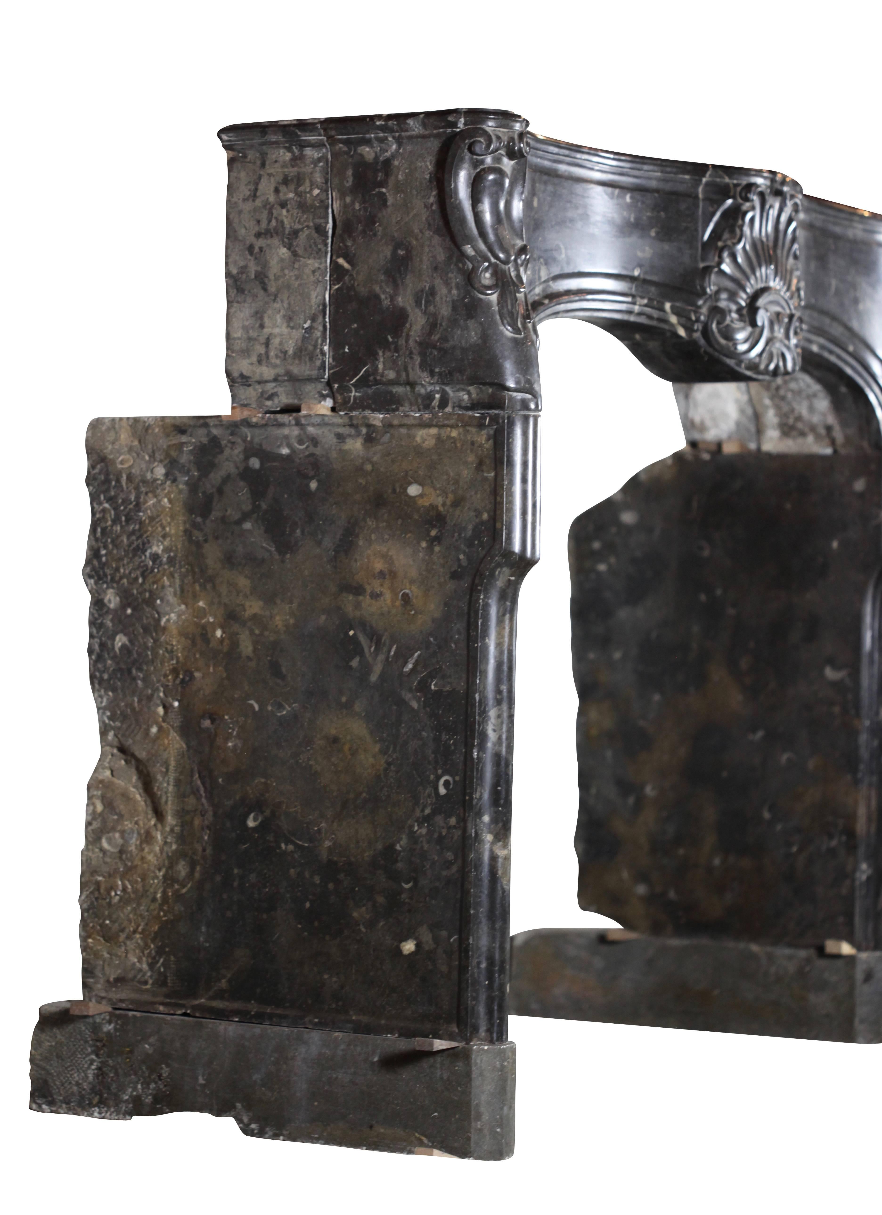 XVIIIe siècle et antérieur Cheminée royale du 18ème siècle en pierre dure fossile en vente