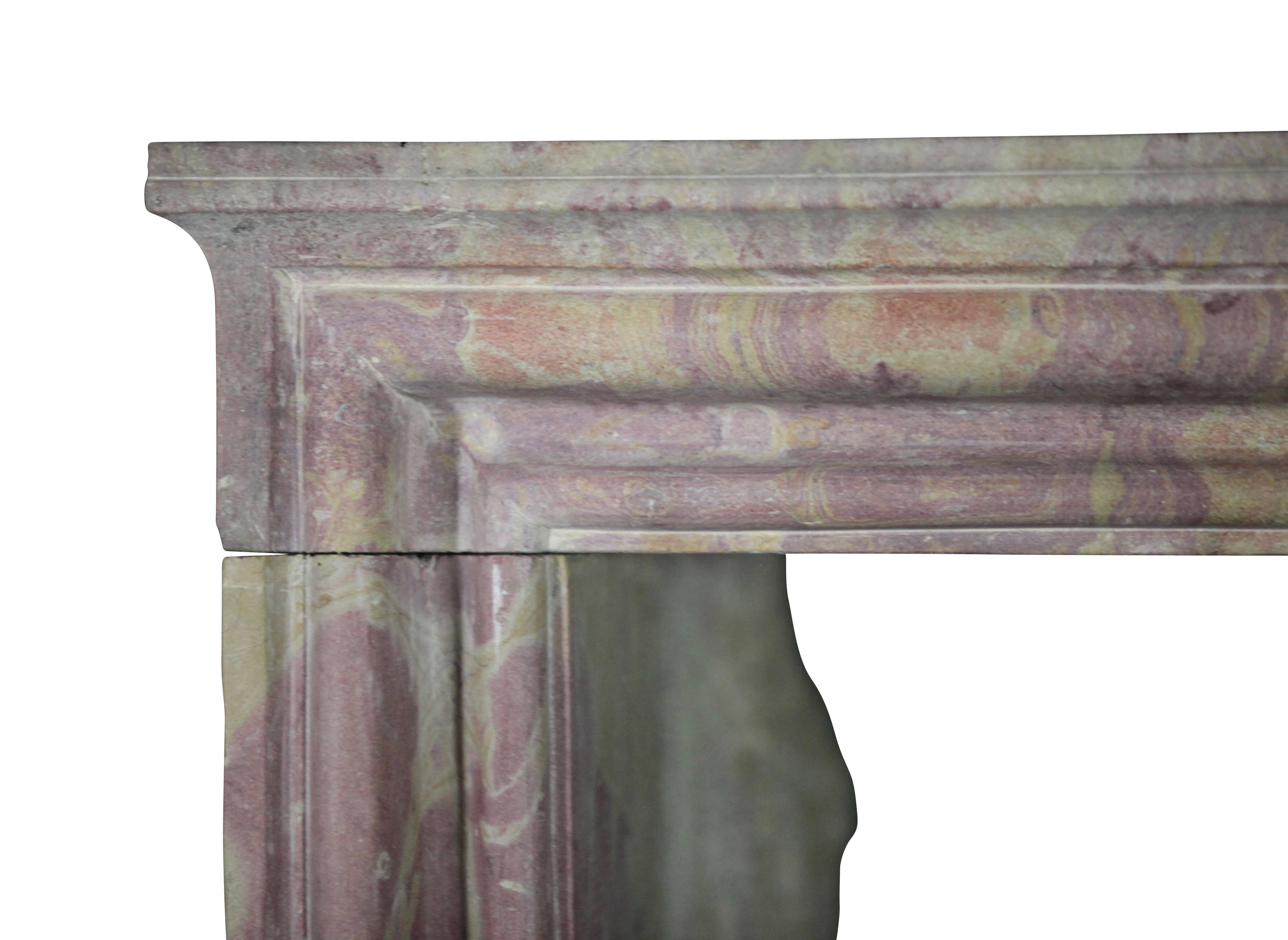 19th Century Antique Fireplace Surround in Hard Stone For Sale 4