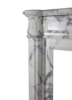 White Grand Interior Carrare Marble French Antique Fireplace Mantel