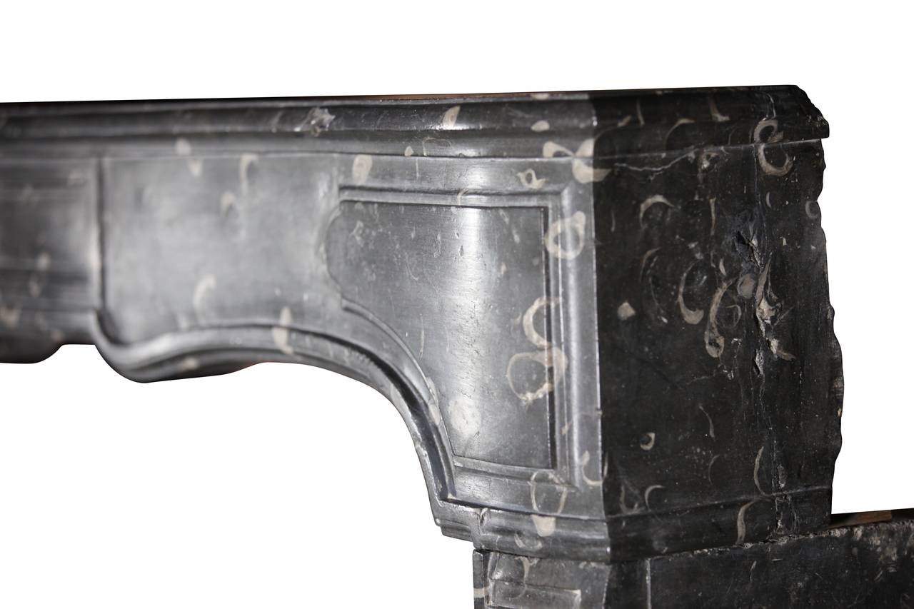 Polished Fine French Antique Fireplace Mantle for Timeless Interior