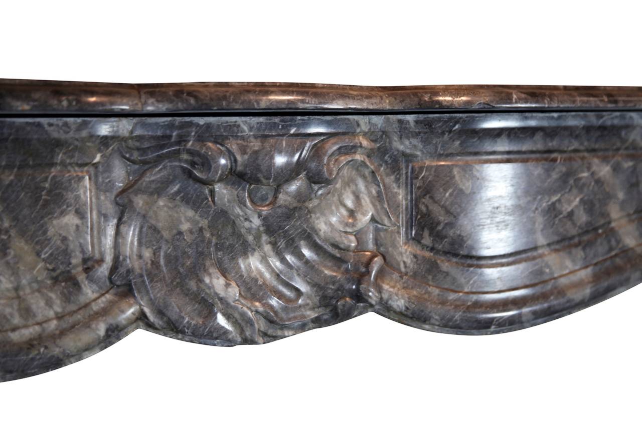 18th Century Grey Marble Fine Antique Regency Fireplace Surround 4