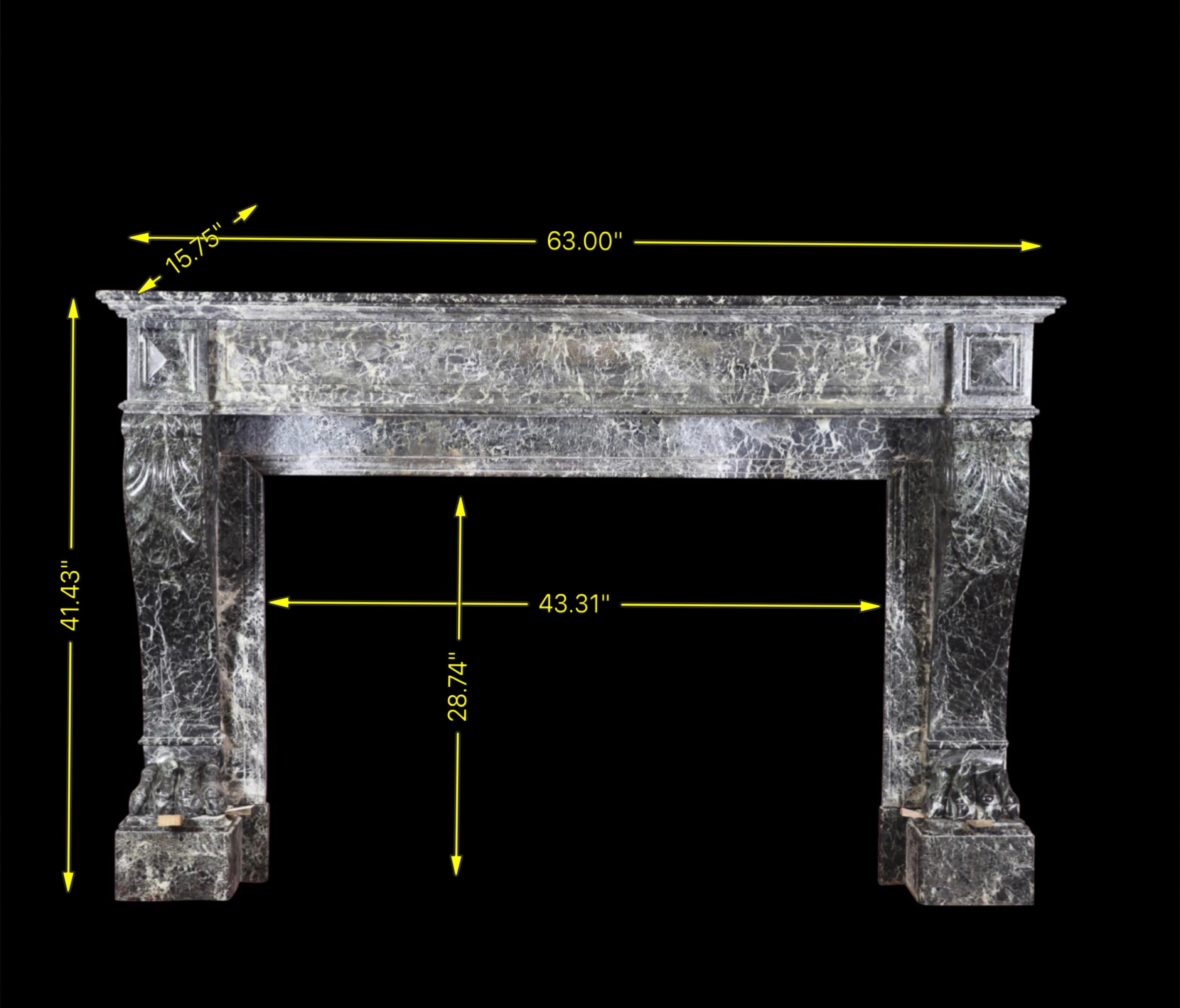 19th Century Belgian Antique Fireplace Surround For Sale 5