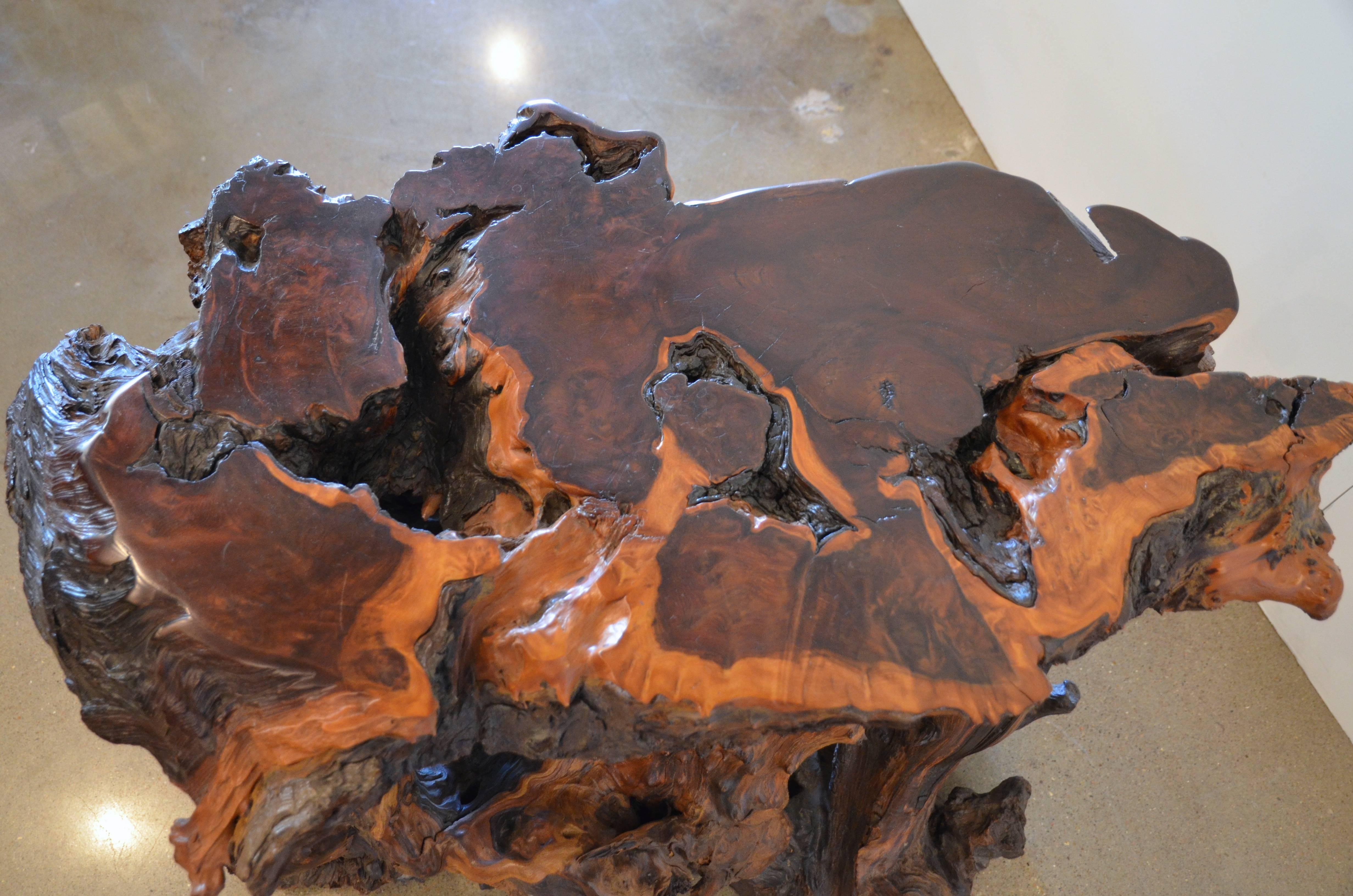 Wood Mid-Century Redwood Burl End or Side Table with Live Edge