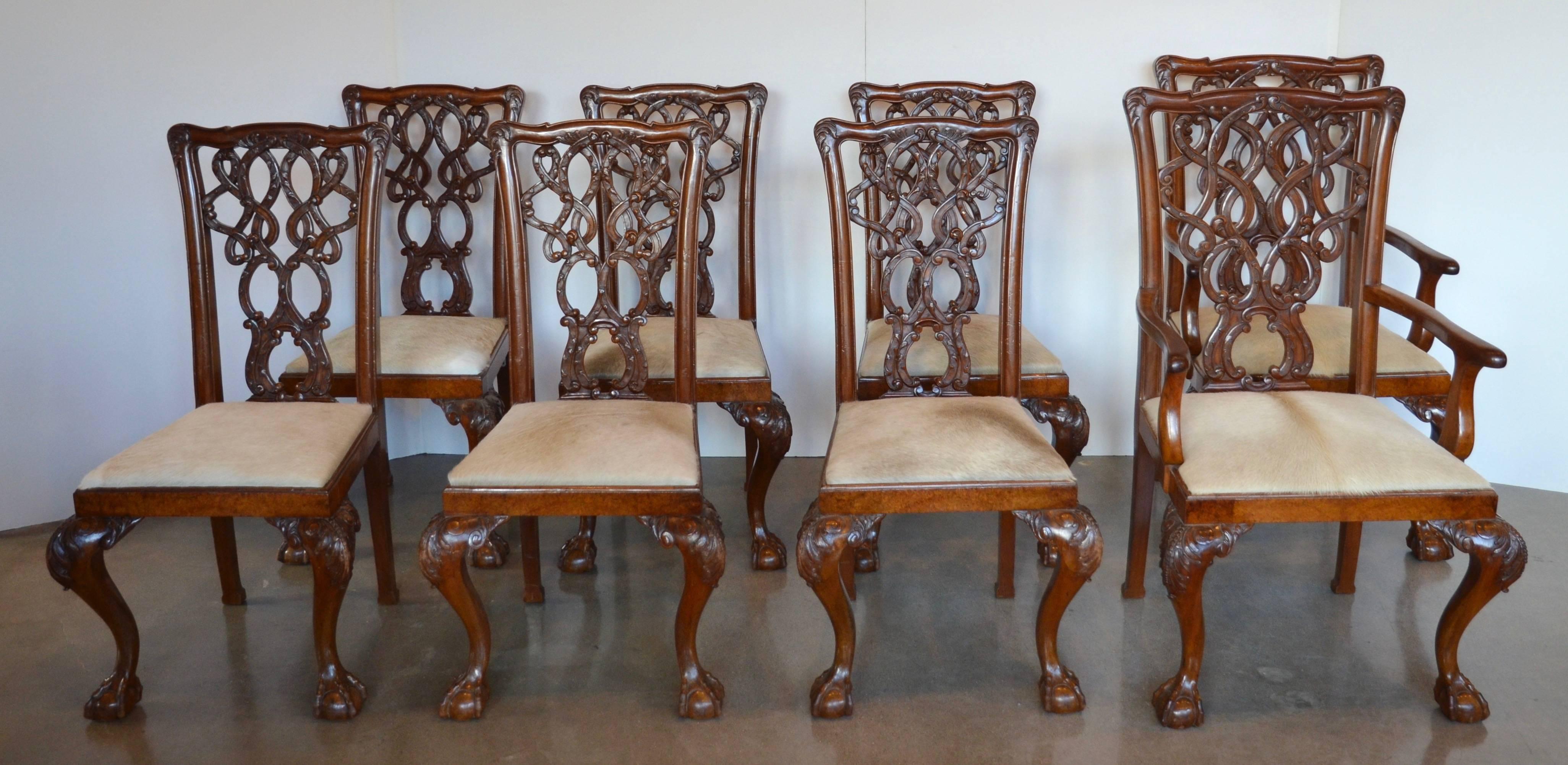 Particularly handsome set of English mahogany Chippendale dining chairs. Gorgeous wood grain and depth to finish, solid and comfortable. Substantially carved backs and ball or claw feet. Newly upholstered seats in fawn cowhide. Eight total chairs,