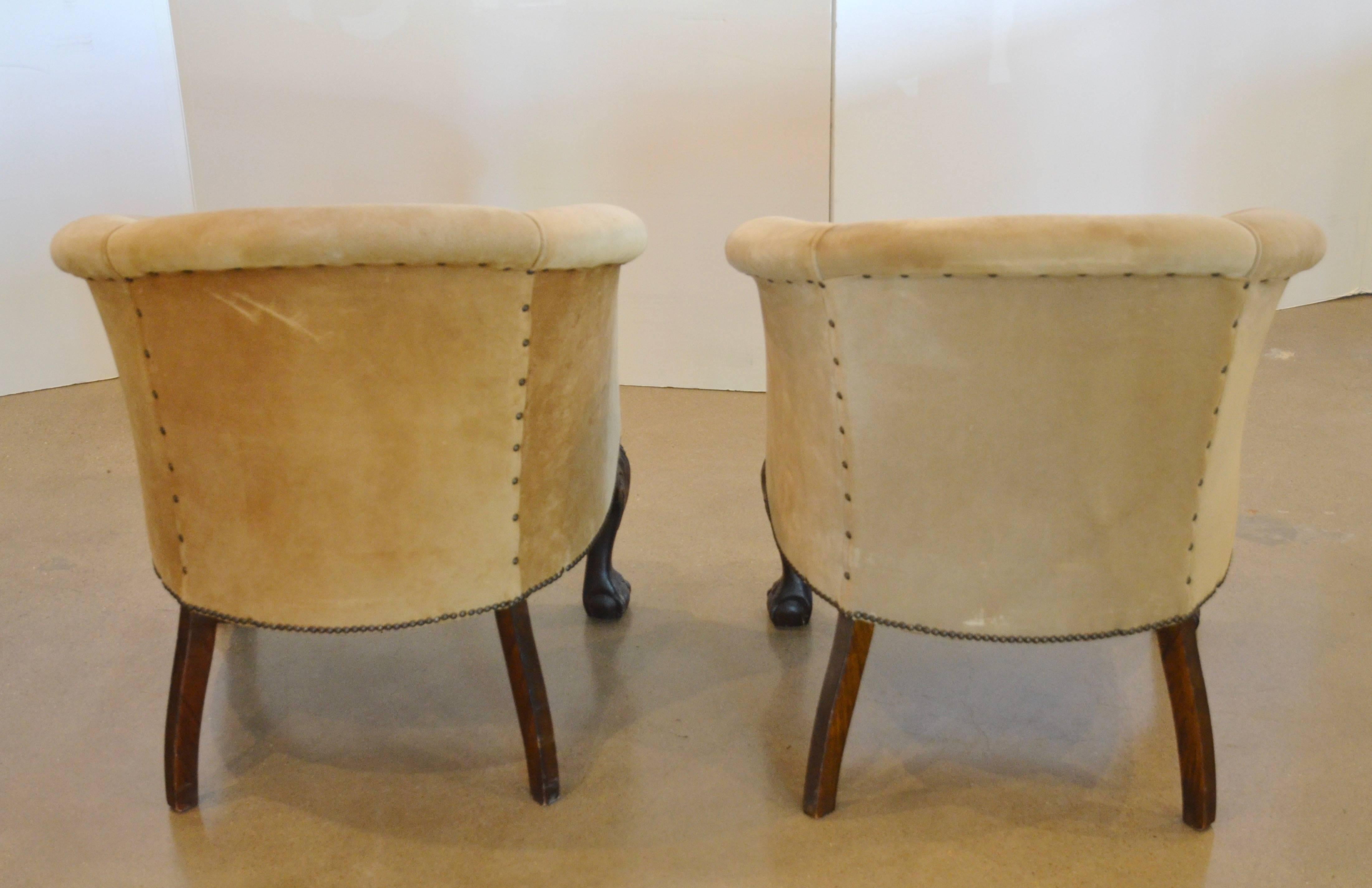Mid-20th Century Vintage Barrel Back Chairs in Suede with Ball and Claw