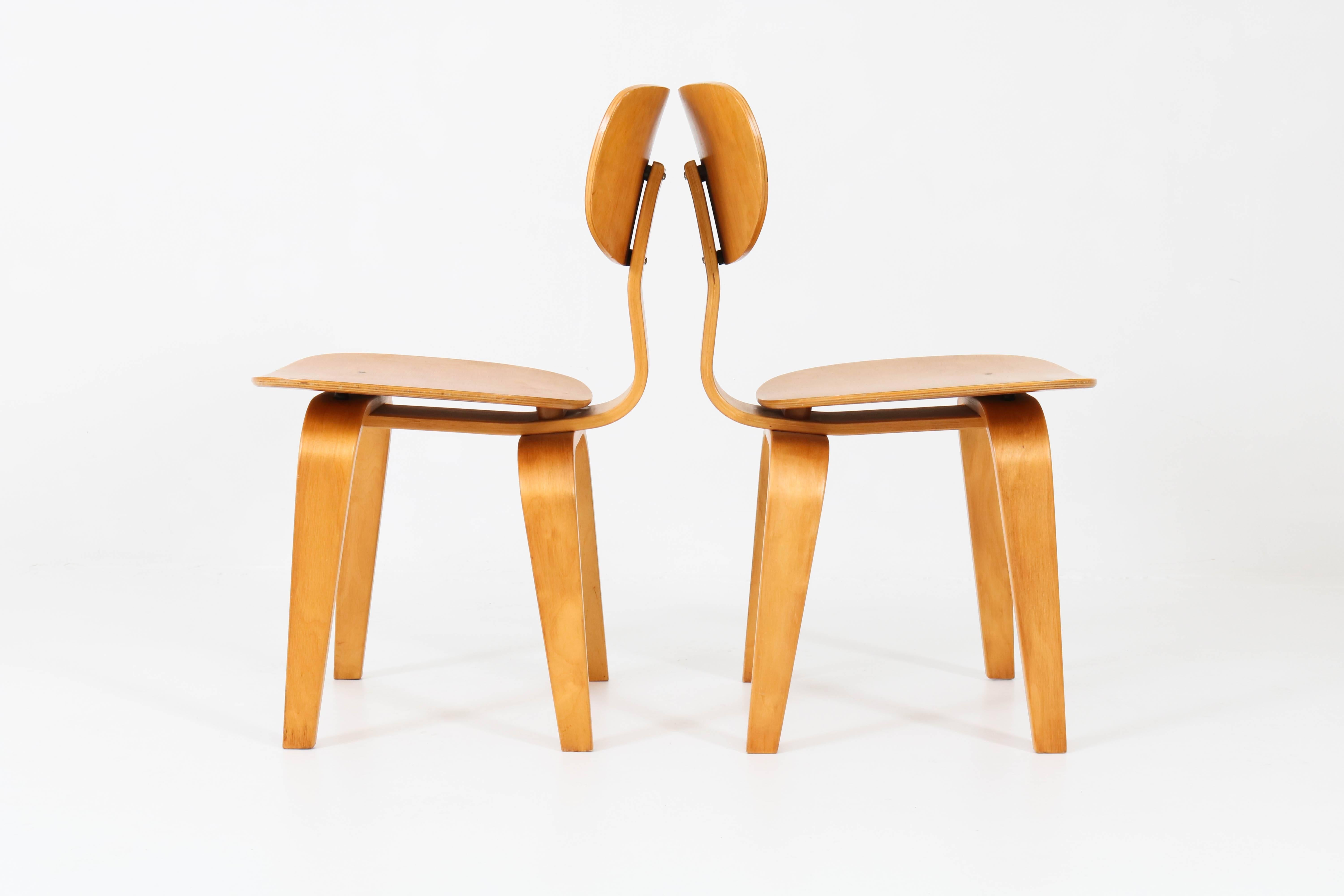 Pair of Mid-Century Modern SB02 Combex Series Chairs by Cees Braakman for Pastoe 2