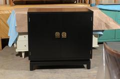 Elegant Mahogany Cabinet by Renzo Rutili in Black Lacquer