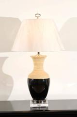 Striking Pair of Bamboo Lamps with Accents of Lucite, Nickel and Black Lacquer