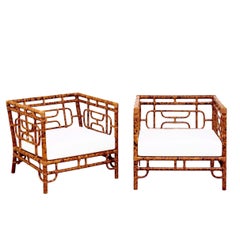 Breathtaking Pair of Tortoiseshell Emperor's Chairs by Vivai del Sud, 1975