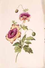 Meissen Fish Platter, 19th Century