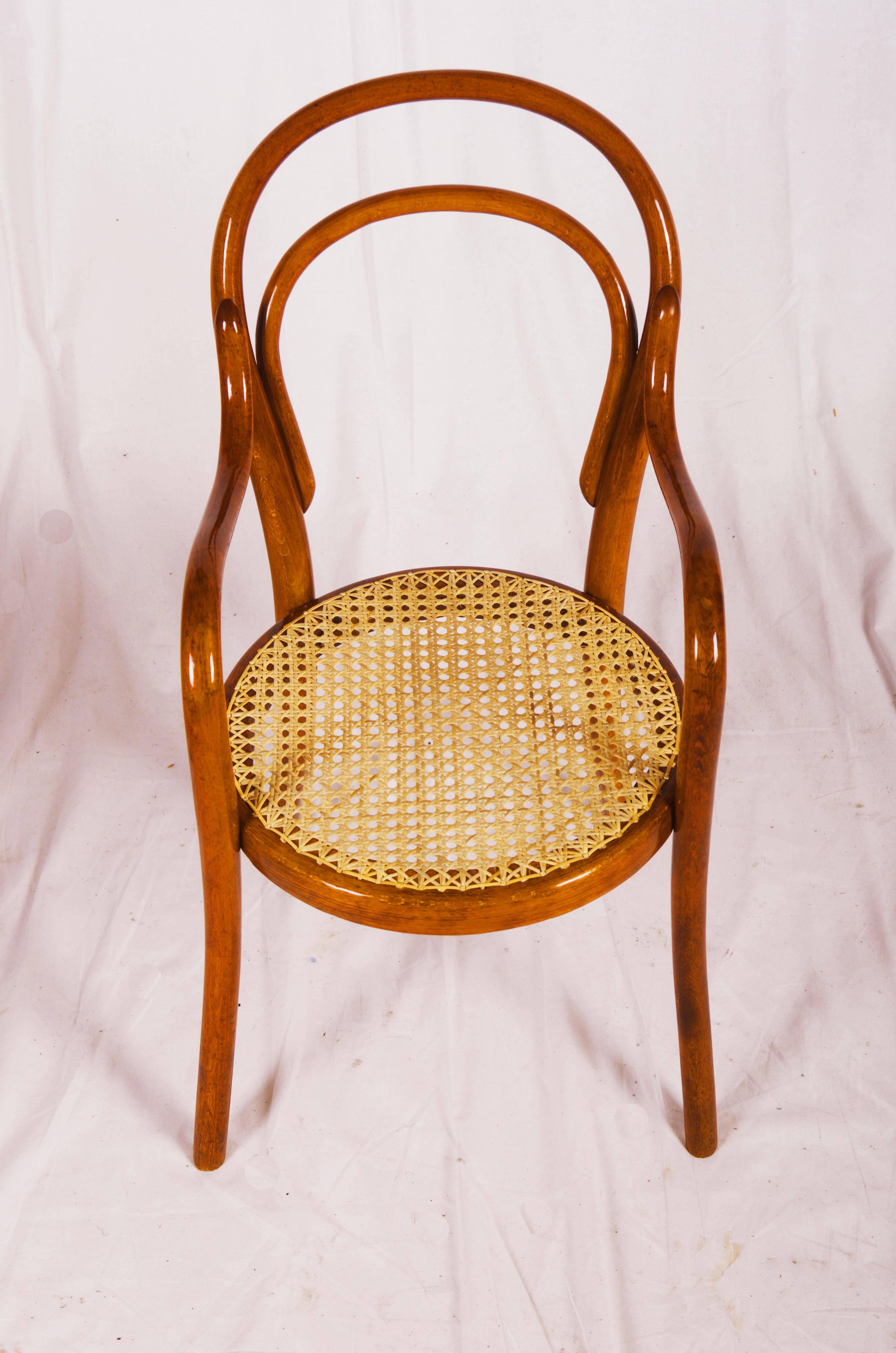 Chaise pour enfants en bois cintré de Thonet Excellent état - En vente à Vienna, AT