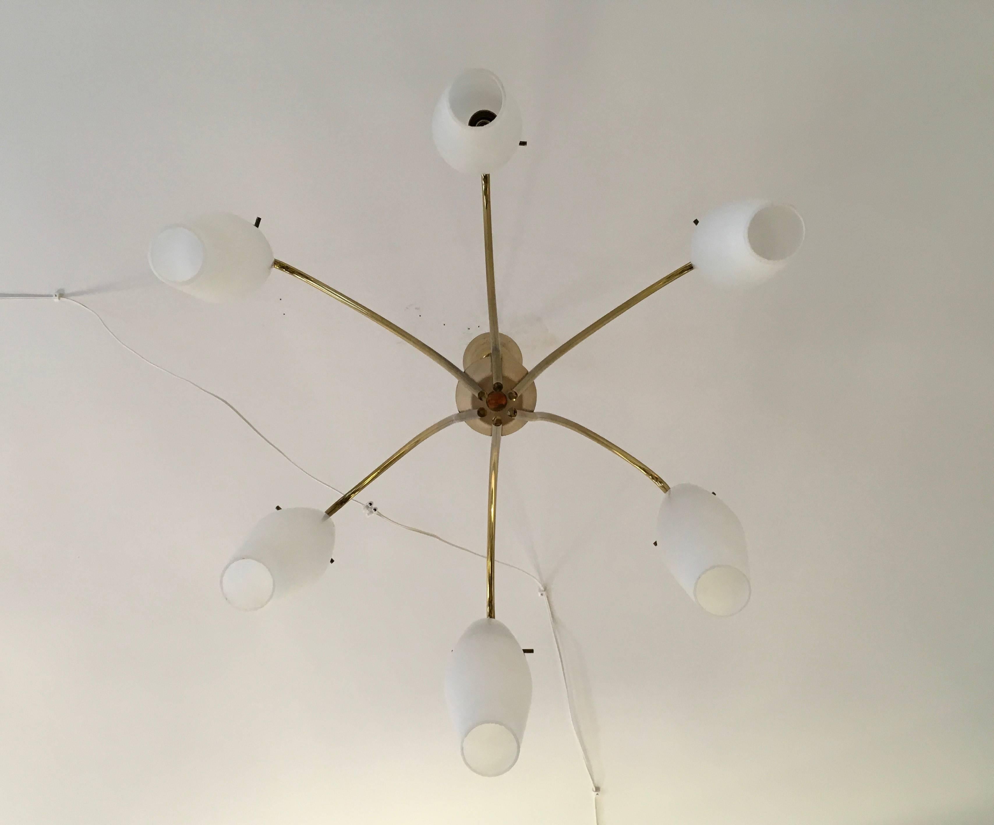 Mid-Century Modern Mid-Century Brass Chandelier in Stilnovo Style