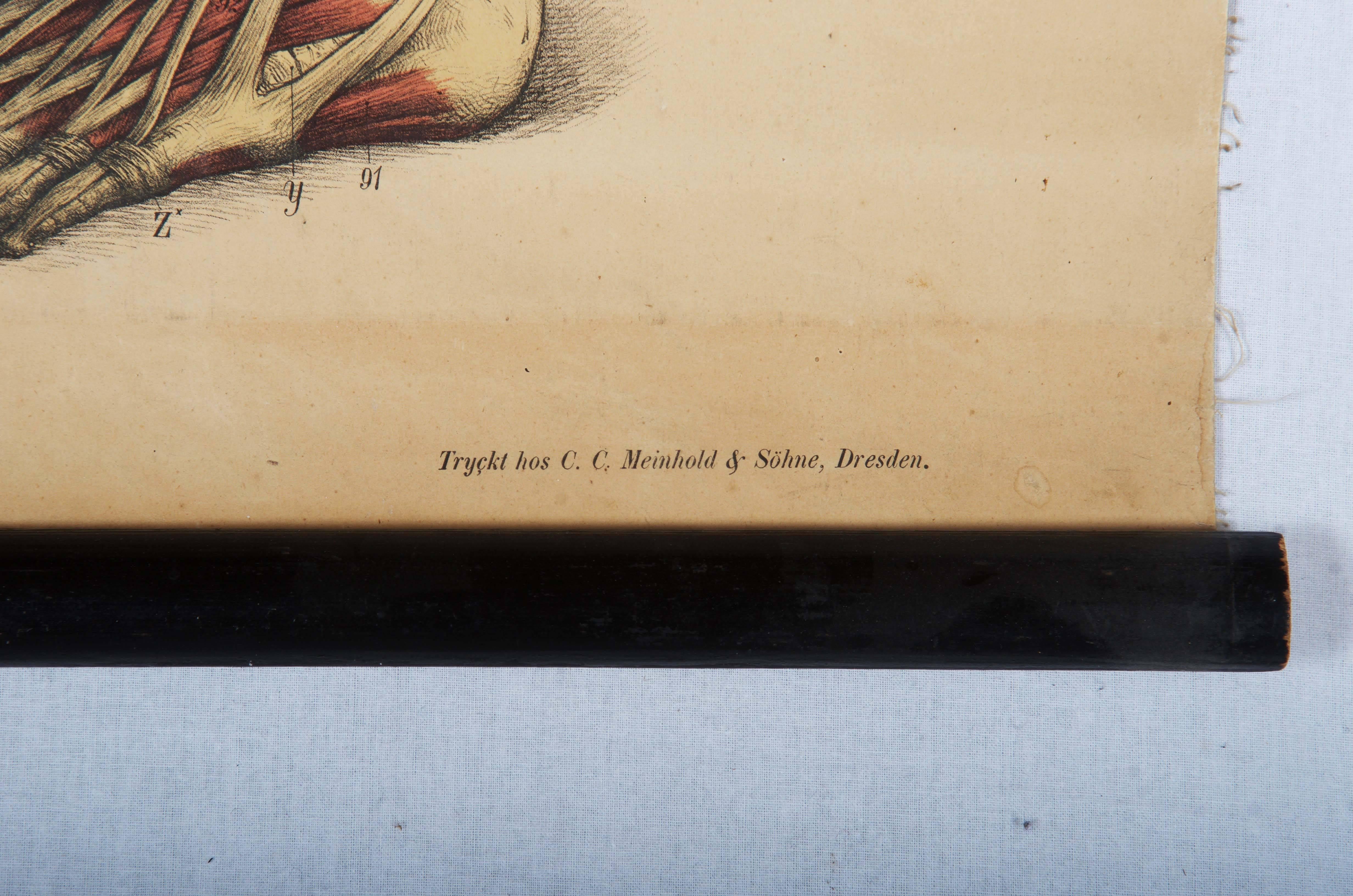 Tabella didattica scolastica d'epoca 