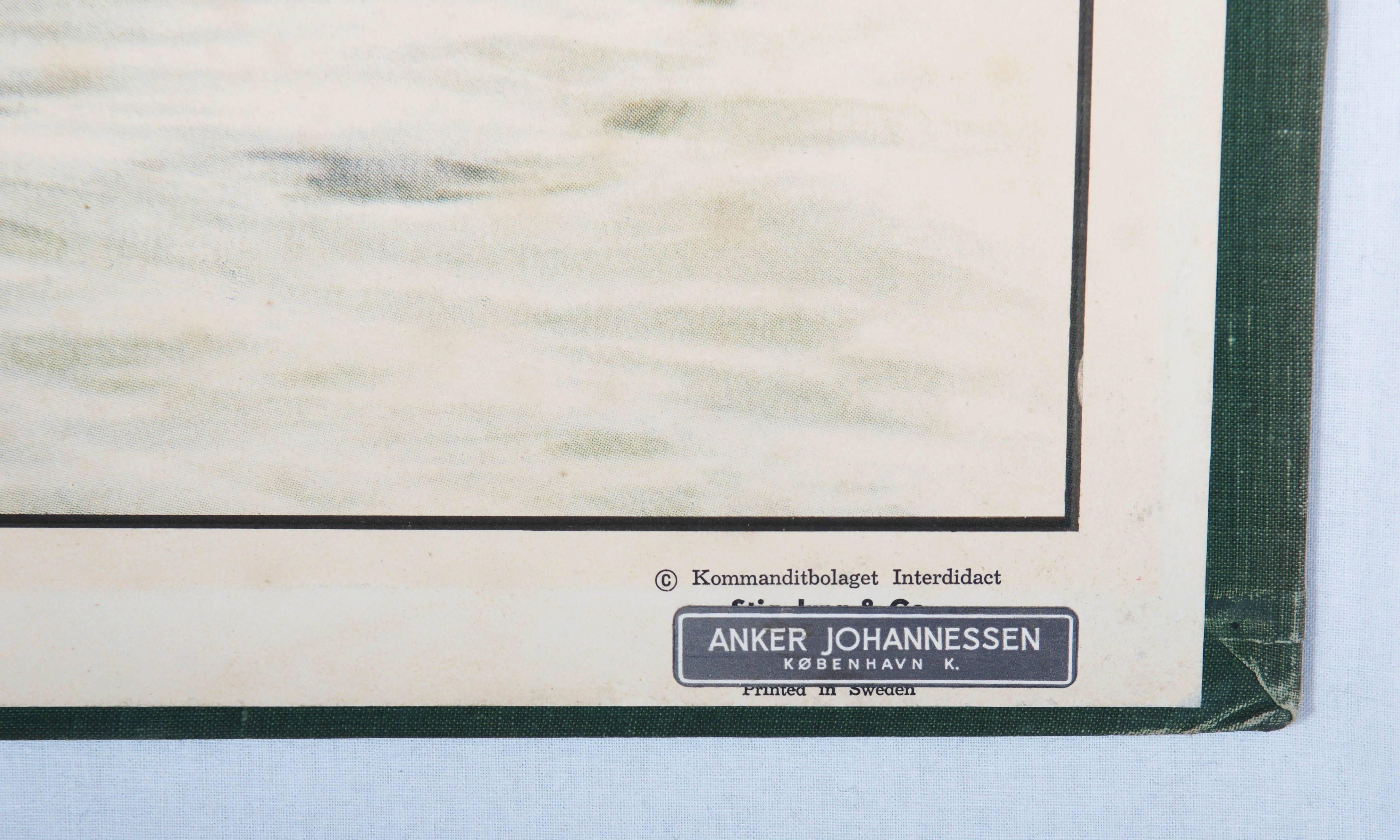 Gedruckt in Schweden, signiert M. Richter. Beschreibung in fünf Sprachen. 
Abmessungen: 70 x 100 cm. Altersbedingte Patina.