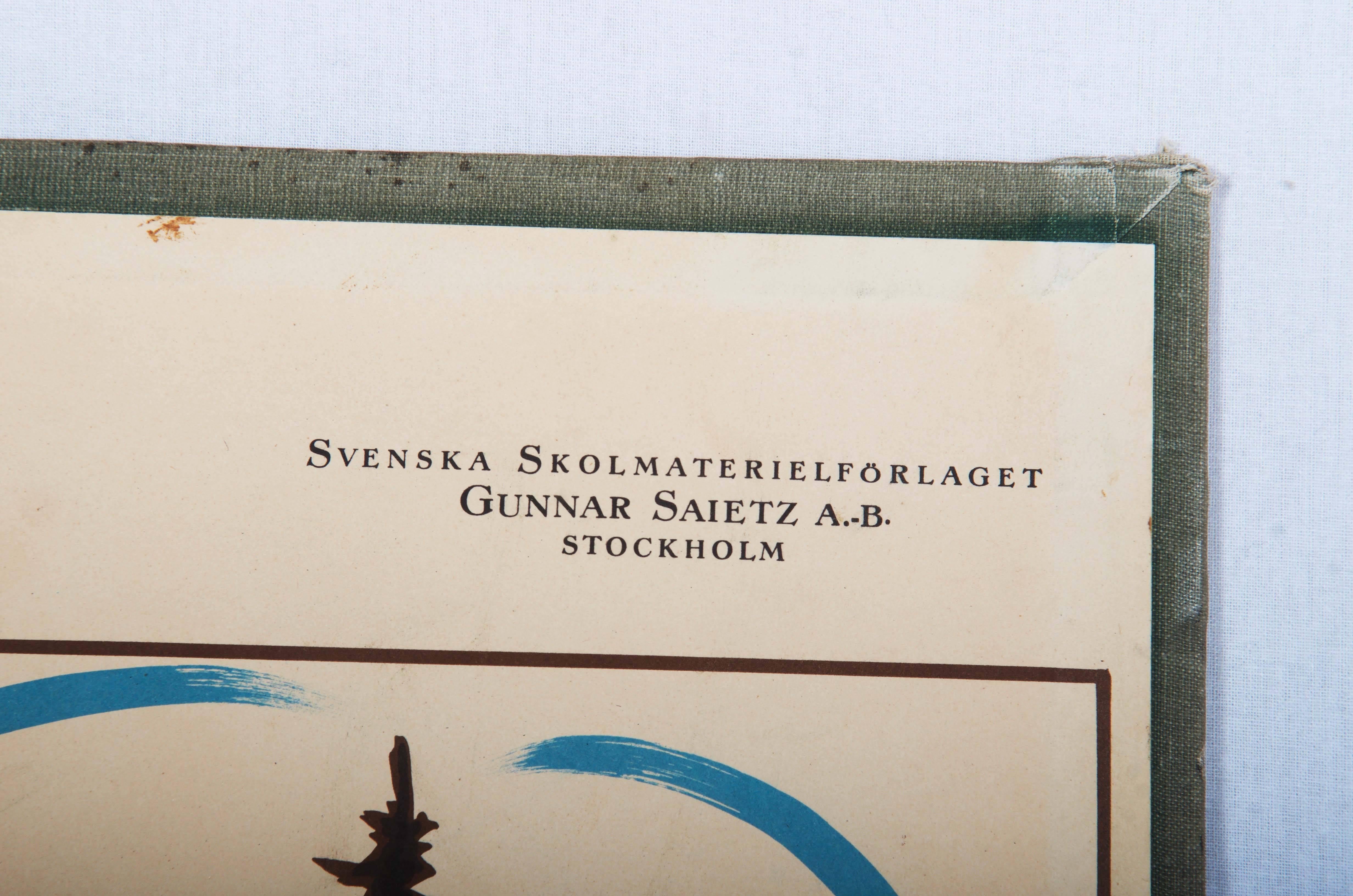 Antike schwedische Schule, Lehrkarte, Poster „Das Leben der Pflanzgefäße“ (Schwedisch) im Angebot