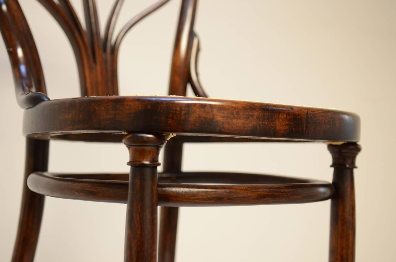 Thonet No. 25 Dining Chairs In Excellent Condition In Vienna, AT
