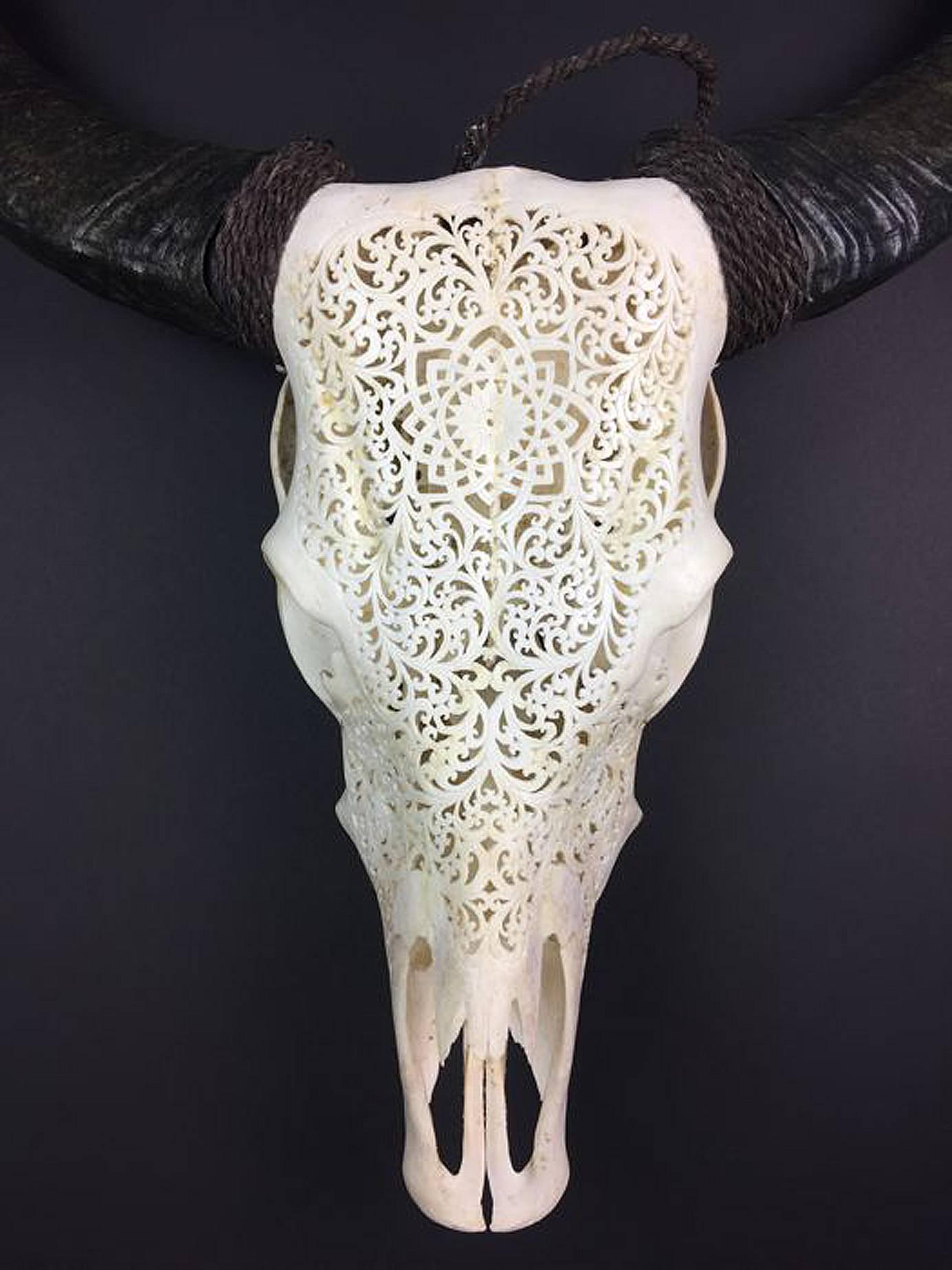 Bone Buffalo Skull Fine Hand-Carved