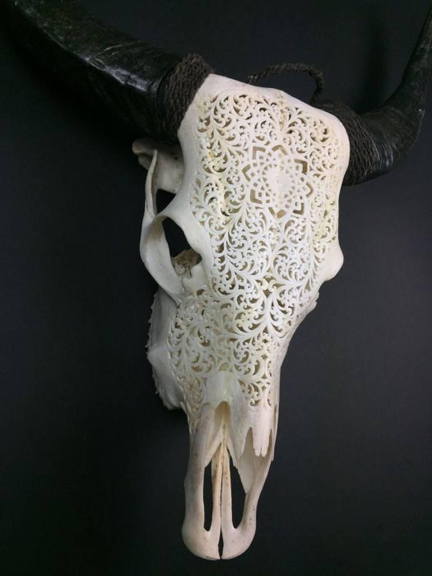 carved water buffalo skull
