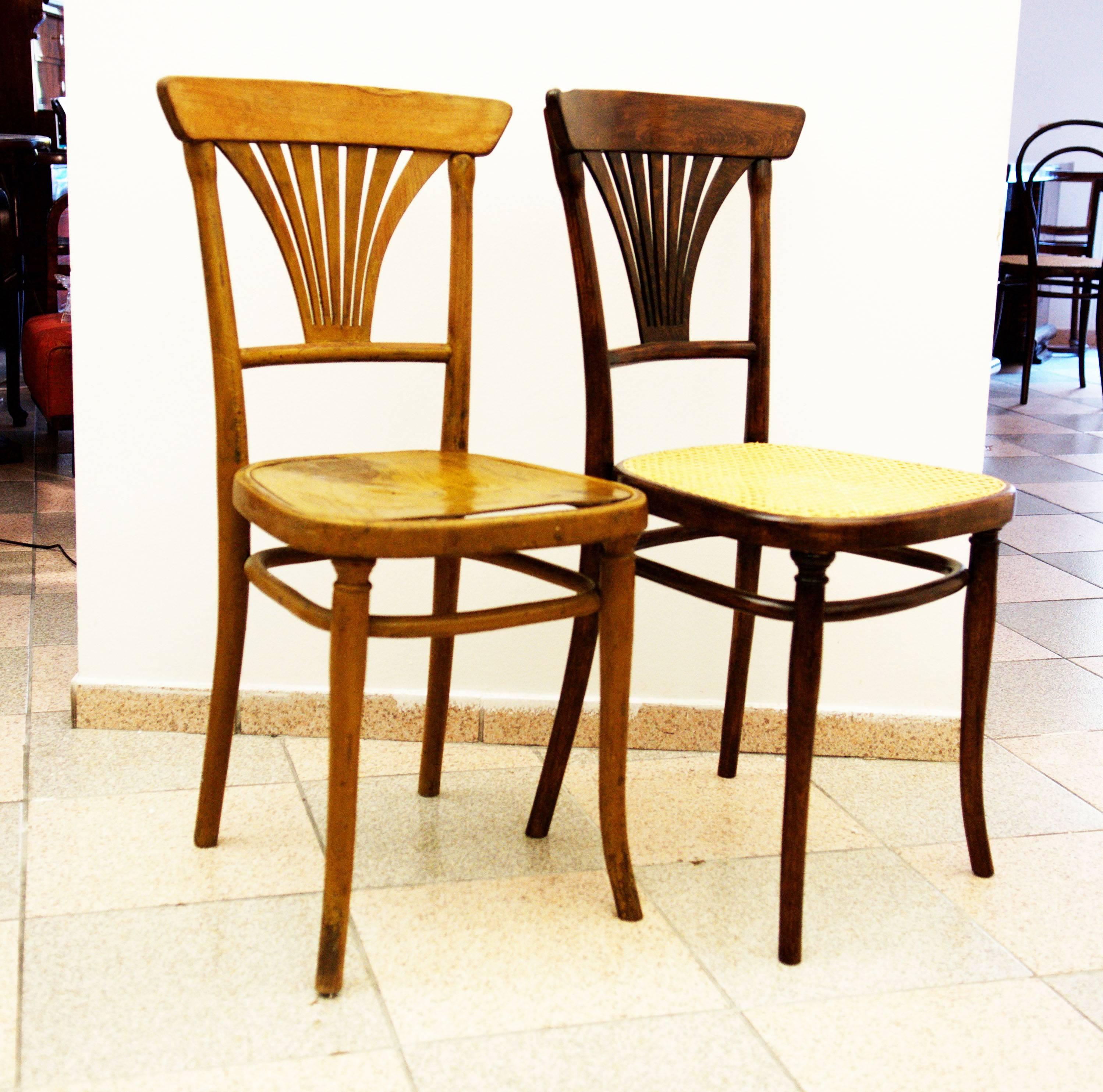 Set of Six Thonet No. 221 Chairs In Excellent Condition In Vienna, AT