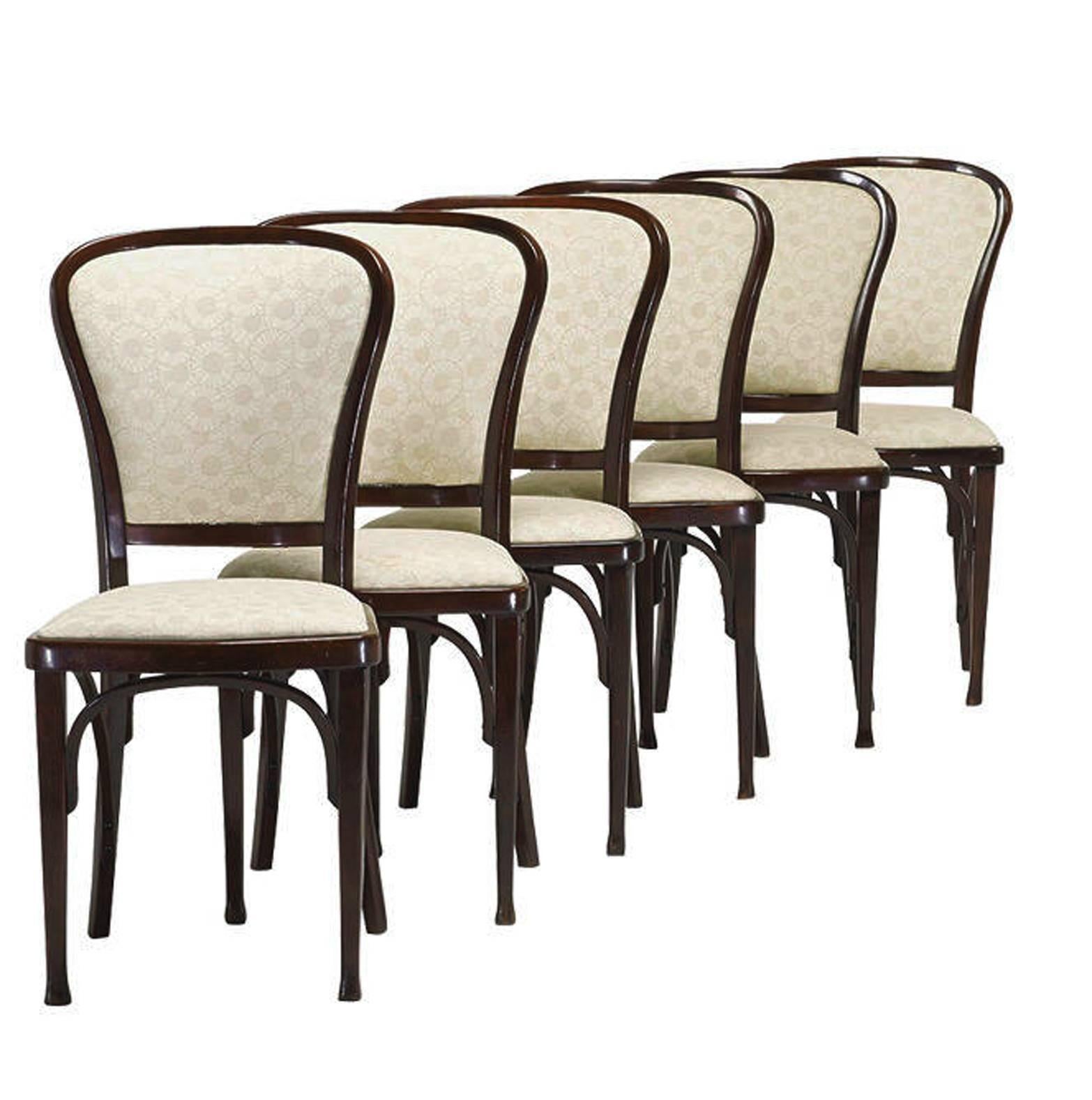 Set of six dining chairs by Gustav Siegel for Thonet from circa 1905s.
Fully restored and covered with Backhausen fabric.
One already restored delivery time for the rest about 4-5 weeks.
 